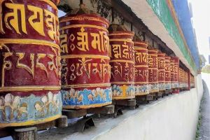 Dharma product category