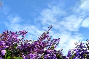 Mindfulness product category