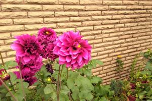 Other product category