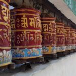 dharma category header image